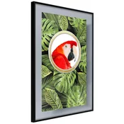 Poster - Parrot Says Hi 20x30
