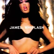 James - Whiplash (180 g) (2 LP)