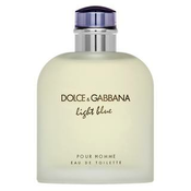 Dolce & Gabbana Light Blue Pour Homme toaletna voda za muškarce 200 ml