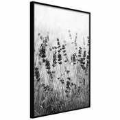 Poster - Shadow of Meadow 30x45