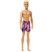 Lutka Barbie - Plivac Ken