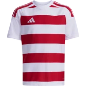 adidas Dres Hooped 26 Kids