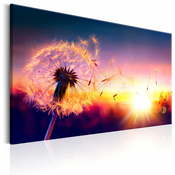 Slika - Freedom of Nature 120x80