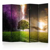 Paravan u 5 dijelova - Magic Tree II [Room Dividers] 225x172