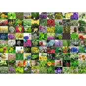 Ravensburger Puzzle 99 zelišč 1000 kosov