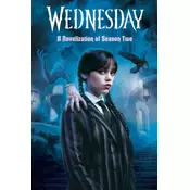 Wednesday: A Novelization of Season Two