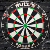 Bulls SISAL FOCUS, tarča za pikado B0161