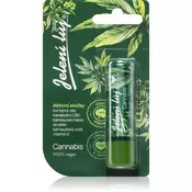 Regina Cannabis balzam za usne 4.5 g