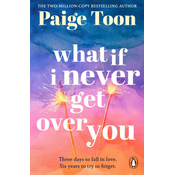 What If I Never Get Over You
