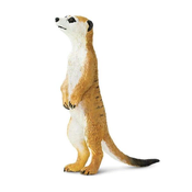 Safari Surikata