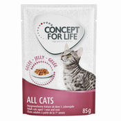 Miješano pakiranje: Concept for Life u umaku i želeu 24 x 85 g  - All Cats 10+ u umaku i želeu      