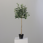 Umetna oljka 70cm v črnem loncu - 50 do 75 cm