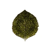 Komplet krožnikov Costa Nova Riviera Hydrangea 22 cm 6-pack