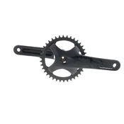 Campagnolo Ekar GT Protech 13-fach 38Z Crank