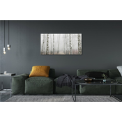 tulup.si Slika na akrilnem steklu Breza megla 125x50 cm 4 obešalnika
