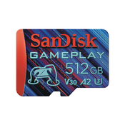 SanDisk SDSQXAV-256G-GN6XN memorijska kartica 256 GB MicroSD UHS-I