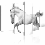 Slika - Horse- passion and freedom 200x100