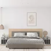Vidaxl vidaXL Nočne omarice, komplet 2 kosov, betonsko siva, 43x36x50 cm