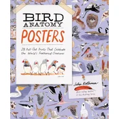 Bird Anatomy Posters