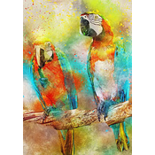 BlueBird - Puzzle Parrots 1000 - 1 000 kosov