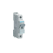 Haeger Miniaturni odklopnik Hager NBN110, (20889798)