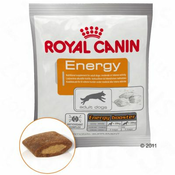 ROYAL CANIN Energy prigrizek za nagrajevanje - 10 x 50 g