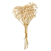 Naravna gipsofila / 4 stebla, 20 cm