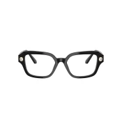Swarovski Naocare SK 2039 1001
