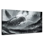 shumee Platno s sliko Cvet v kapljicah rose 120x60 cm