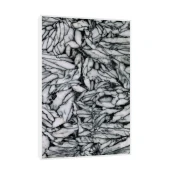 Canvas Slika na platnu Pinolit Austrija, Sa ramom, 80 x 120 cm, Beli