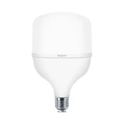 Braytron LED sijalica BRY-ADVANCE-30W-E27-T100-PLS-3000K