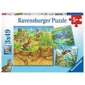 Ravensburger - Puzzle Životinje na njihovim staništima - 40 - 99 dijelova