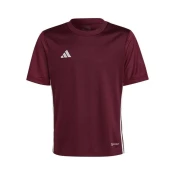 Adidas Majice obutev za trening češnjevo rdeča XS IB4933