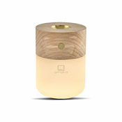 Pametni difuzor Gingko White Ash