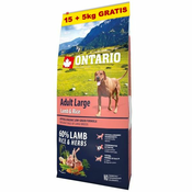 ONTARIO Adult Large - lamb & rice 15+5kg GRATIS