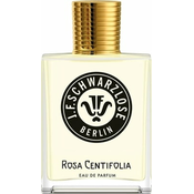 , Črnalose Berlin Rosa Centifolia - 50 ml