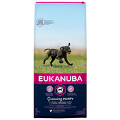 Eukanuba Puppy Large Breed Chicken - 15 kg