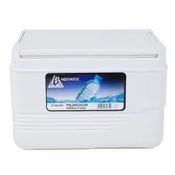 Hladilna skrinja Polatcooler Coolbox 6L