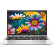 Obnovljen HP EliteBook 845 G7 AMD Ryzen 5 Pro 4650U, 8GB, 256GB, Silver, Windows 11 Home