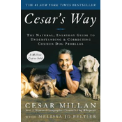 Cesars Way
