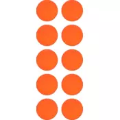 Cawila Magnet Cawila PRO Round Magnet 10er Set 20mm