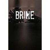 Brine Steam Key (PC) GLOBAL