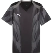 Puma Dres teamFINAL Graphic+
