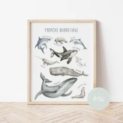 Its a moms world Edukativni poster za decu sa ramom Morske životinje A3, 3D