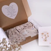 Darilni paket za dojenčka s čebelicami hlače, bodi na preklop in trak