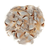 CHUKAR FEATHERS LOOSE-NATURAL-PRN199