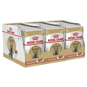 Royal Canin British Shorthair vrečke hrane v soku za britanske kratkodlake mačke 36 x 85 g