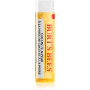 Burt´s Bees Lip Care vlažilni balzam za ustnice (with Coconut & Pear) 4 25 g