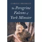 The Peregrine Falcons of York Minster