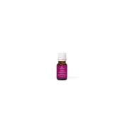 Aromara 1001 Nights blend